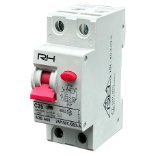 Реле защитного отключения Right Hausen 25A, 2P HN-402025,  Днепр, доставка 